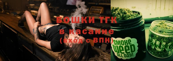 индика Осинники