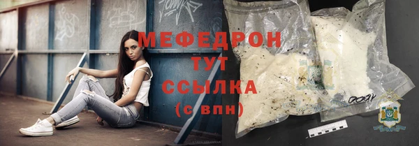 индика Осинники
