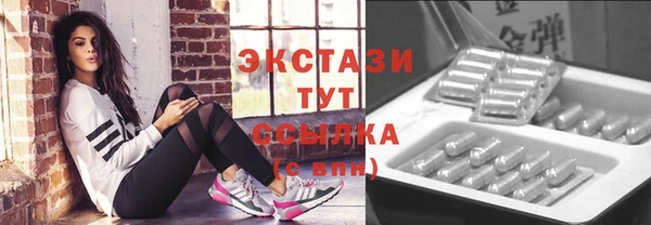 индика Осинники