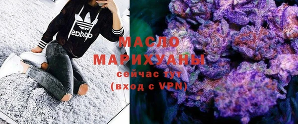 индика Осинники