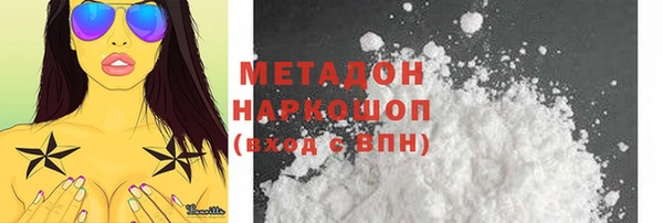 индика Осинники