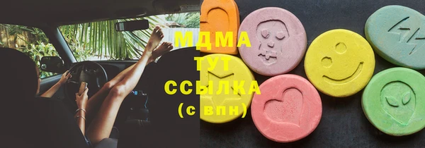 индика Осинники