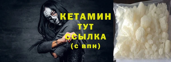 индика Осинники