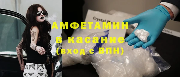 индика Осинники
