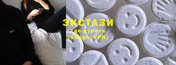 индика Осинники