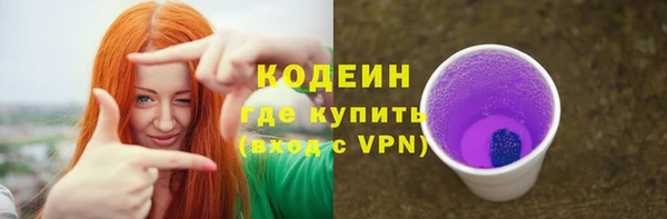 индика Осинники
