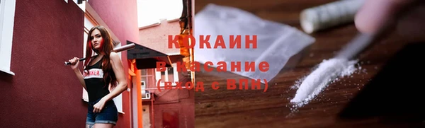 индика Осинники