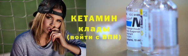 индика Няндома