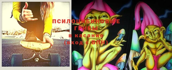 индика Осинники