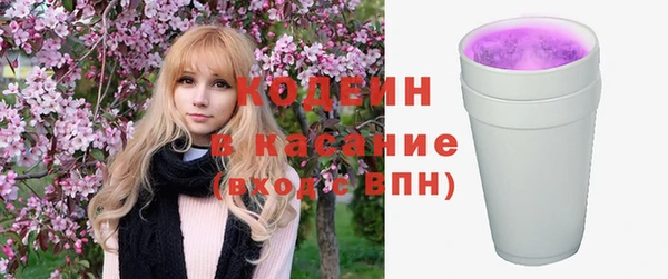 индика Осинники