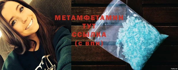 индика Осинники