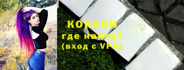 индика Осинники