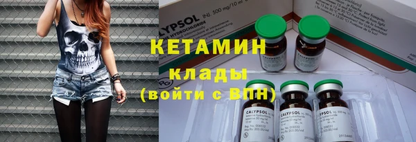 прущие грибы Корсаков