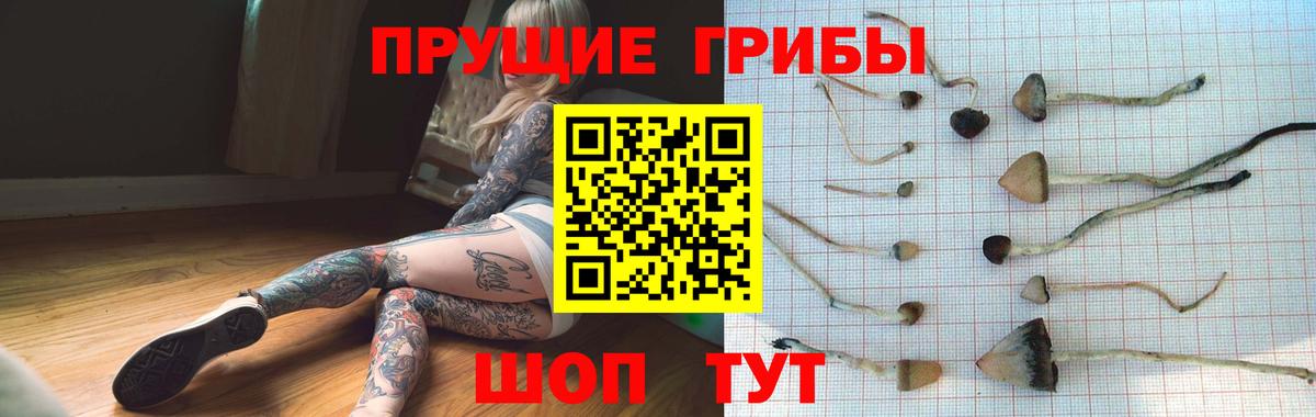 Галлюциногенные грибы ЛСД  Красноперекопск 